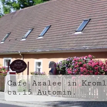 Der Gruene Fuerst 1